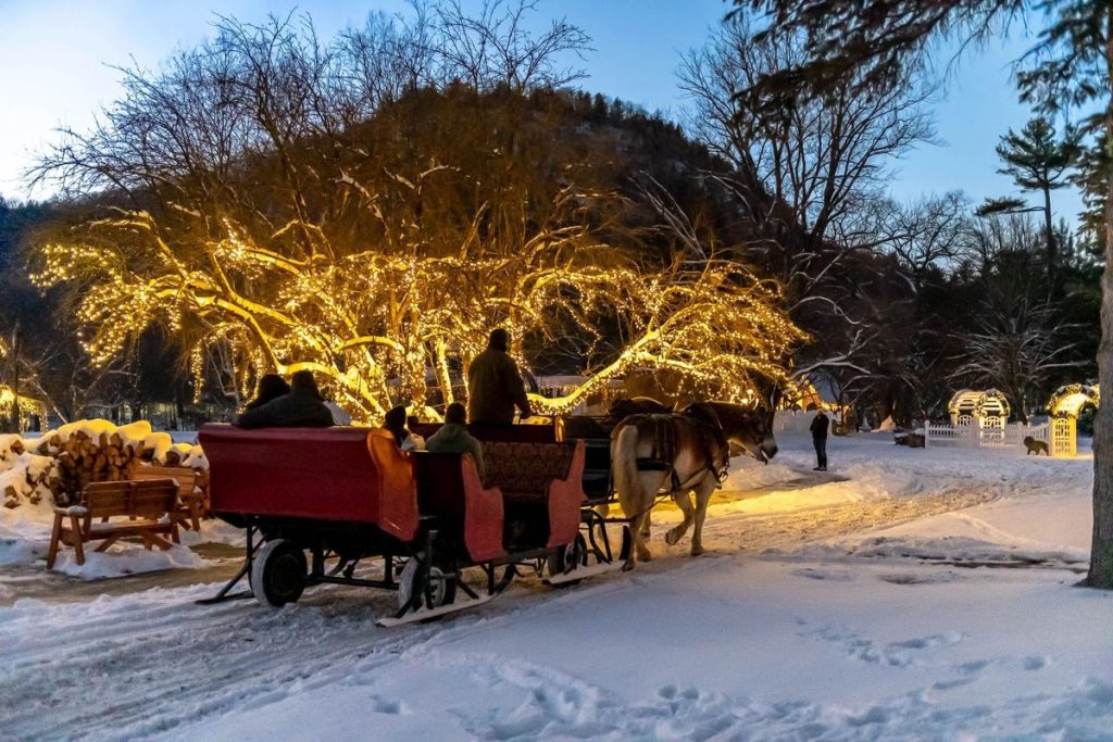 A sleigh going through the snowy woods, passing lit up trees.