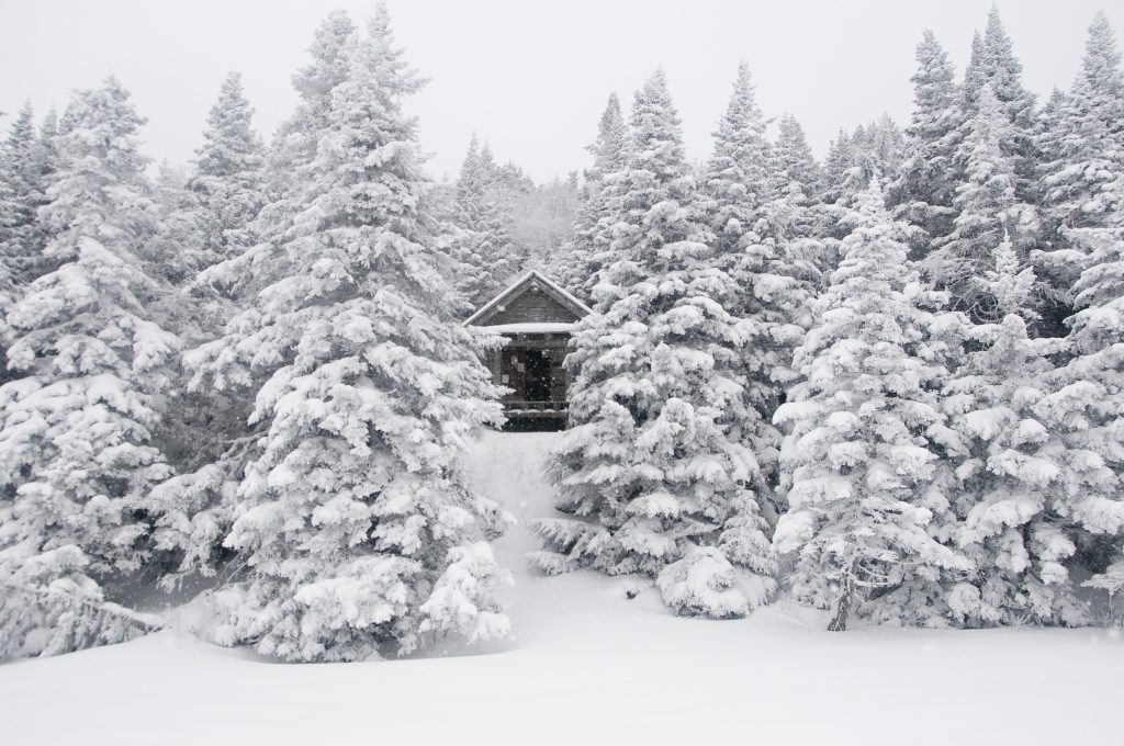 A wooden cabin surrounded by snow-covered evergreen trees.