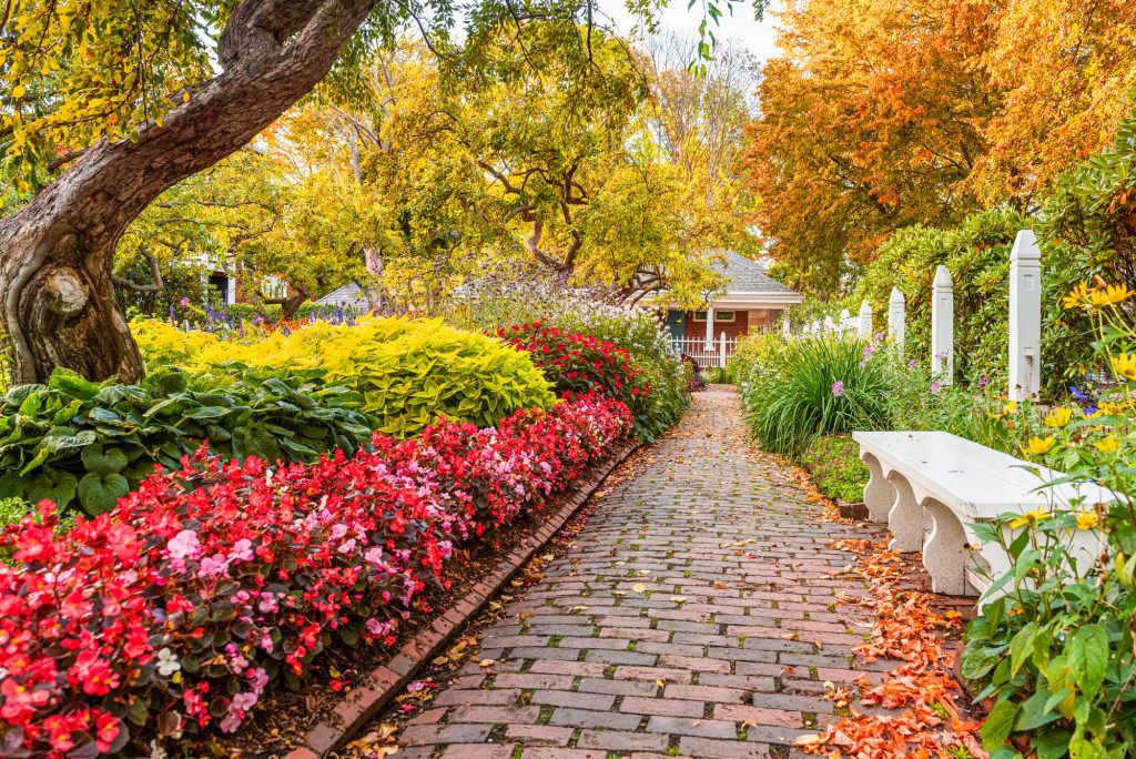 A brick walkway through a well-manicured park brimming with brightly colored leaves and flowers. There is a white bench to one side.