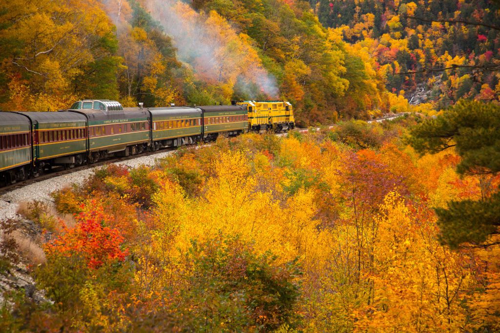 The Conway Scenic Railroad train chugging through a landscape of yellow and orange trees in the fall.
