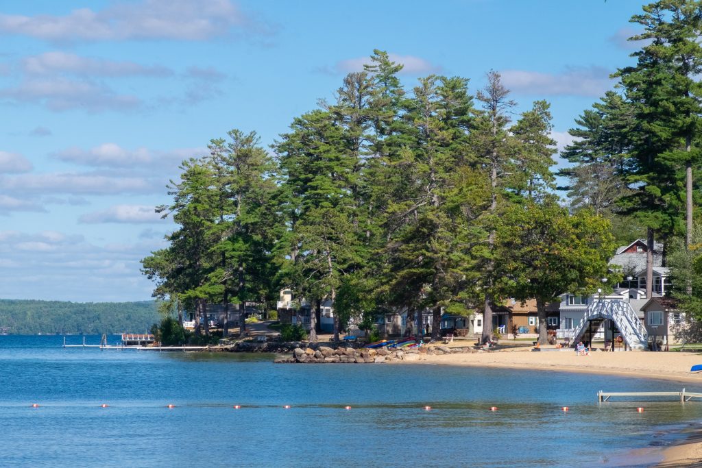 A small beach next to several lake houses peeking between the thick pine trees.
