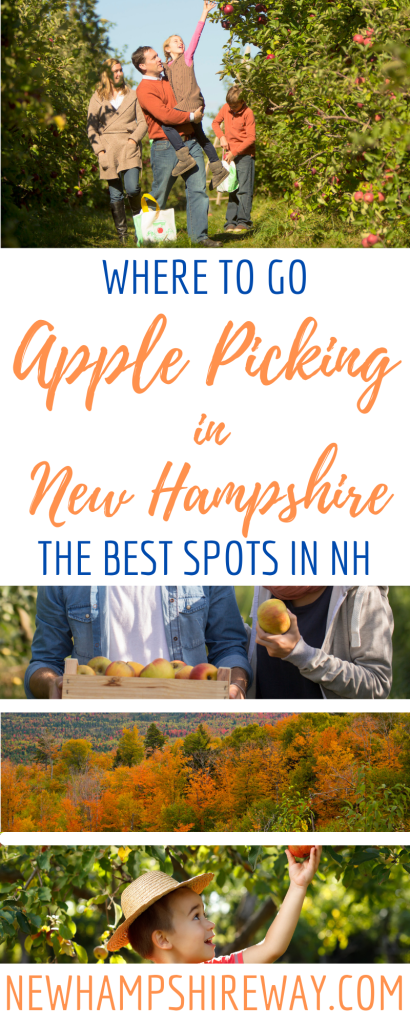 29 Apple Orchards for the Best Apple Picking in New Hampshire