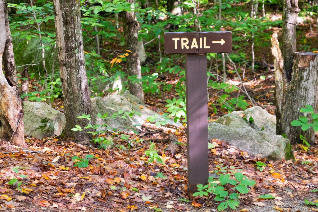 A wooden sign reading "Trail" with an arrow in the middle of the woods.