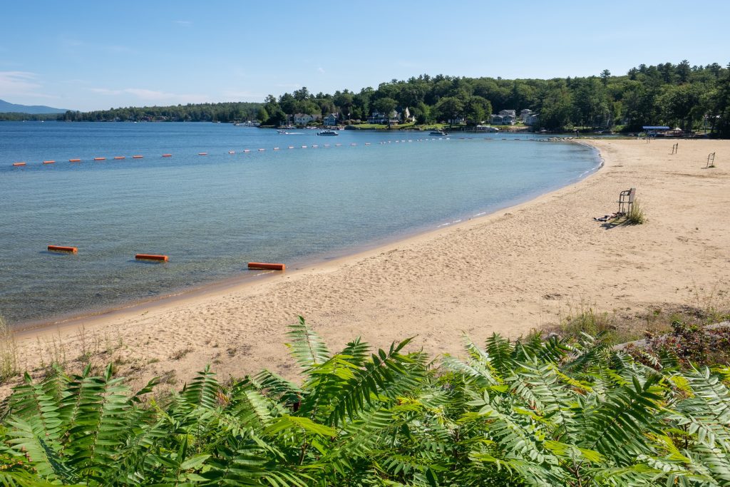 A long, sandy brown beach leading to extremely calm clear teal water. In the foreground are overgrown ferns.