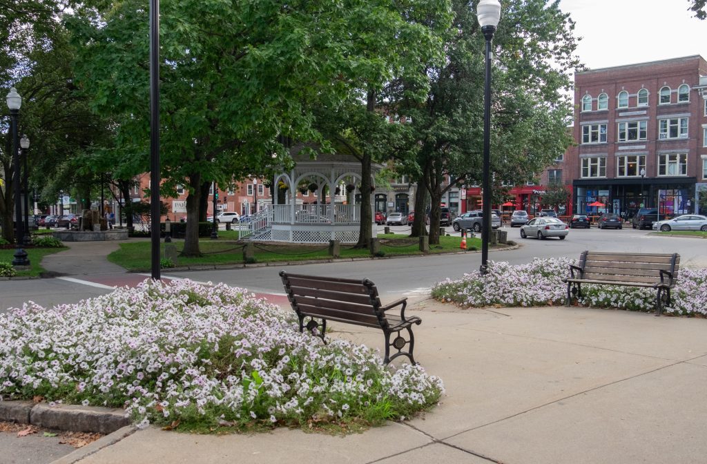 Two benches in Keene's central square placed among lots of pretty white flowers. In the background you see a park with a gazebo and more brick buildings.
