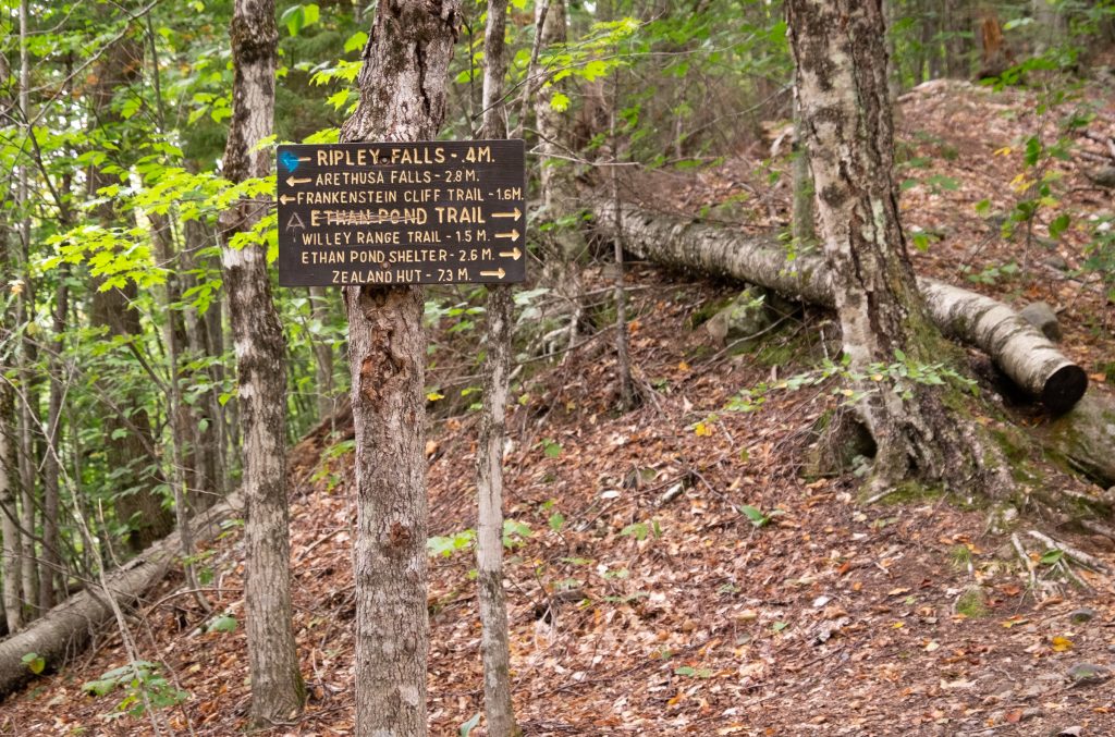 A hiking trail in the woods with a wooden sign pointing out various trails to take.