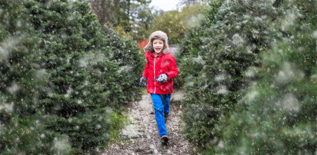A child in a red jacket running through a field of Christmas trees, snow falling.