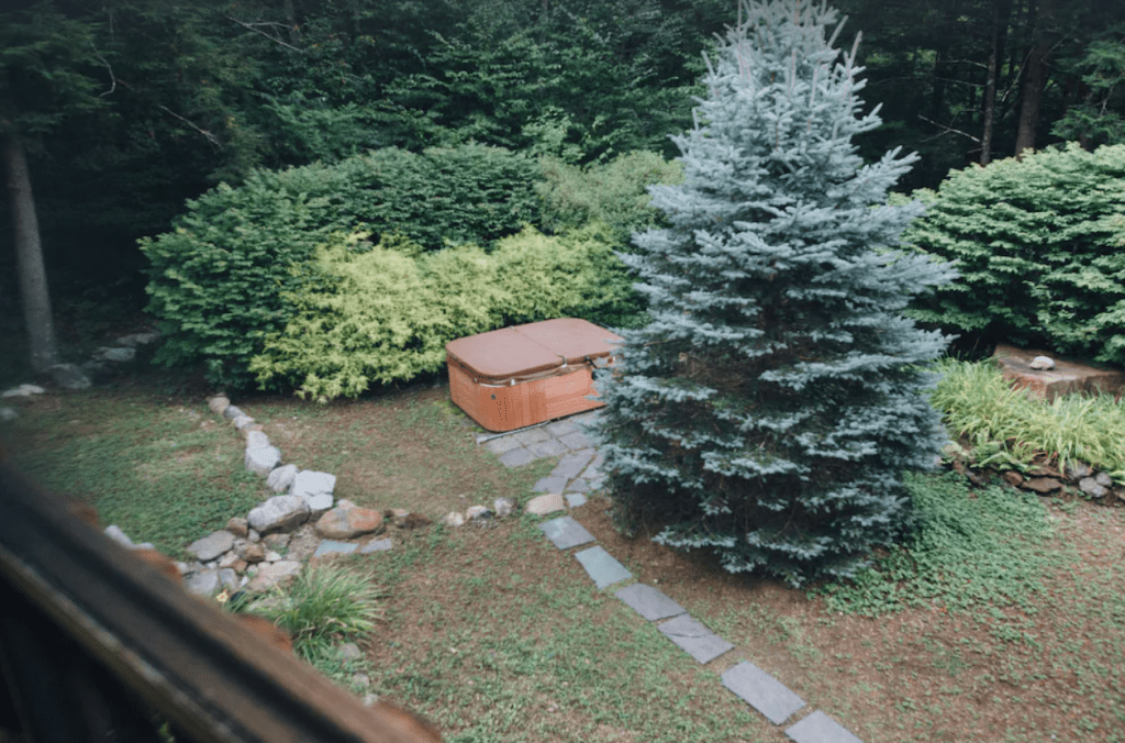 A hot tub nestled behind a pine tree