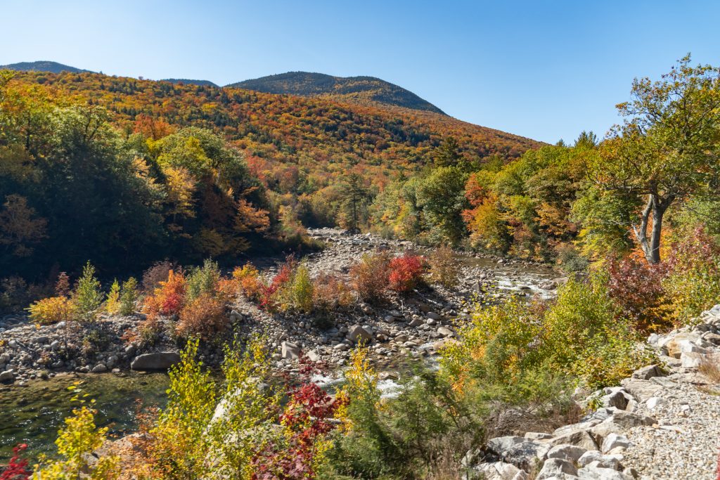 View of mountains and a river punctuated with bright red fall foliage trees.