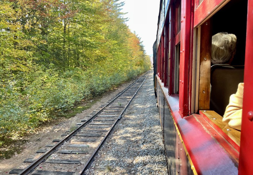 An old-fashioned red railroad train careening down track in the woods.