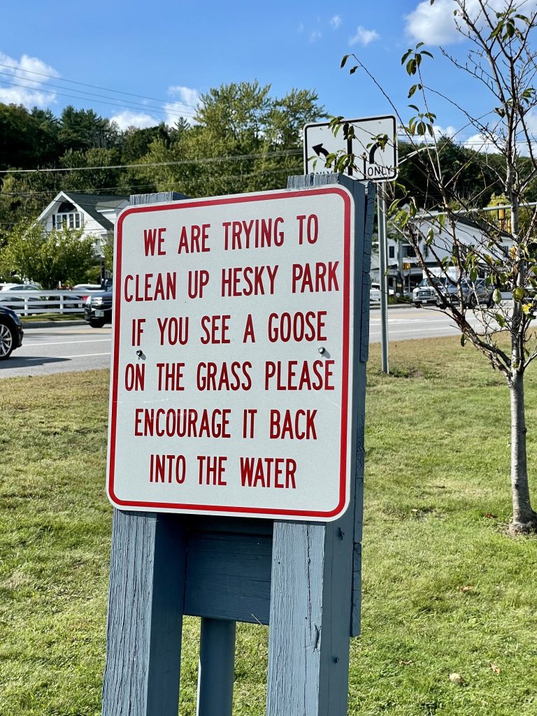 Sign reading We are trying to clean up Hesky park. If you see a goose on the grass please encourage it back into the water.